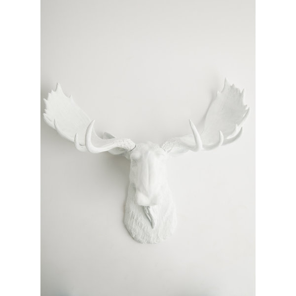 White Faux Taxidermy The Edmonton Faux Moose Head Wall