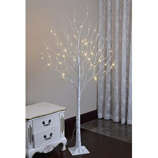 48” Indoor/Outdoor 4’ White Lighted Birch Tree W/Remote Valerie Parr Hill New