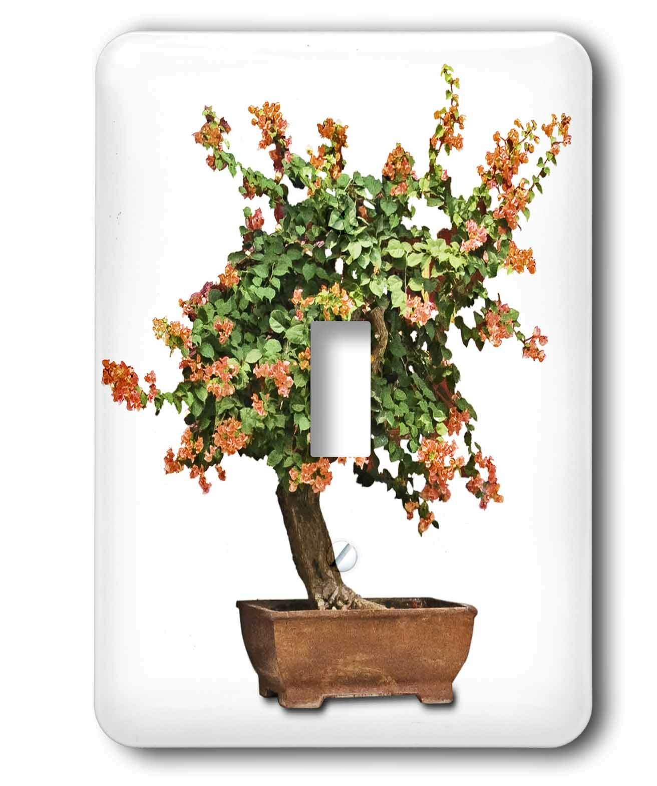 3dRose Lsp_13926_1 Penjing Bonsai with Orange Flowers Single Toggle Switch 
