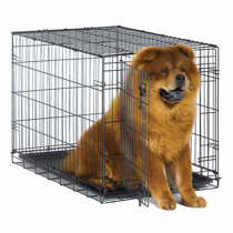 36 inch dog crate