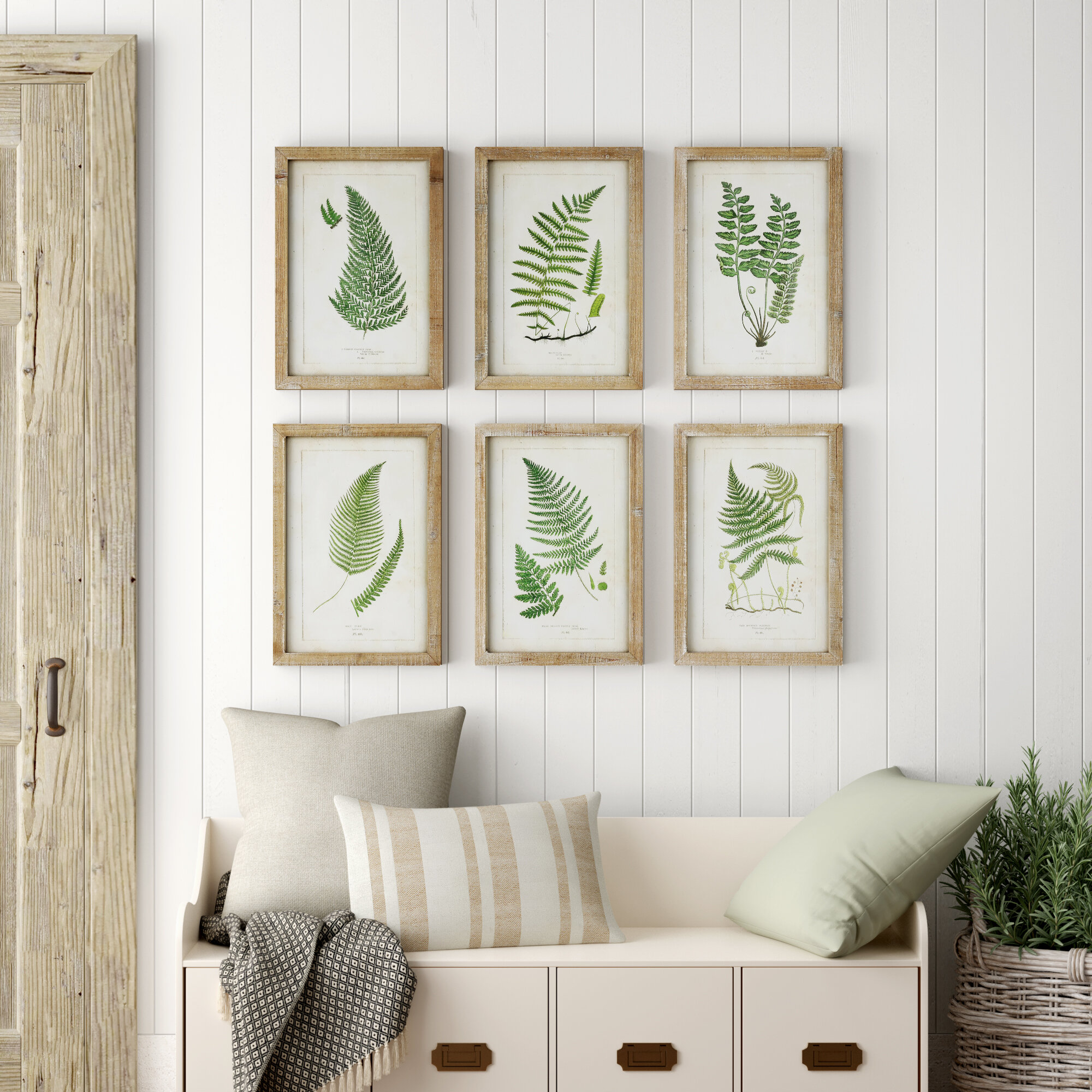 Fern Fronds 6 Piece Picture Frame Print Set On Wood Reviews Birch Lane