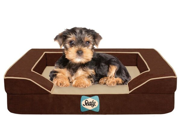 sealy lux premium dog bed extra large