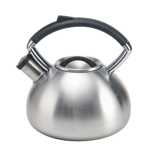 brushed stainless steel kettles