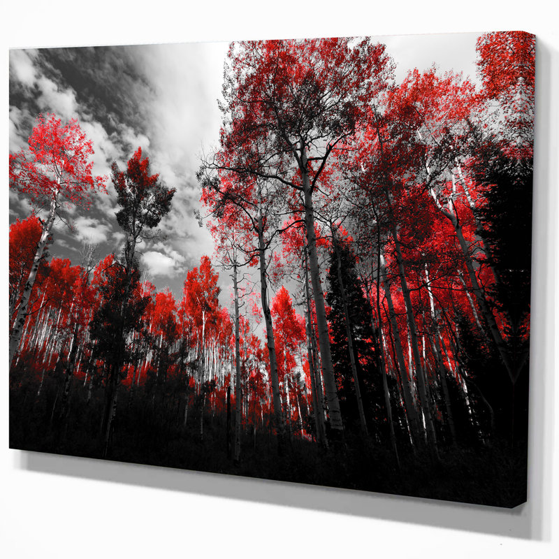 East Urban Home Floral Landscapes Red Tall Trees In White Forest
