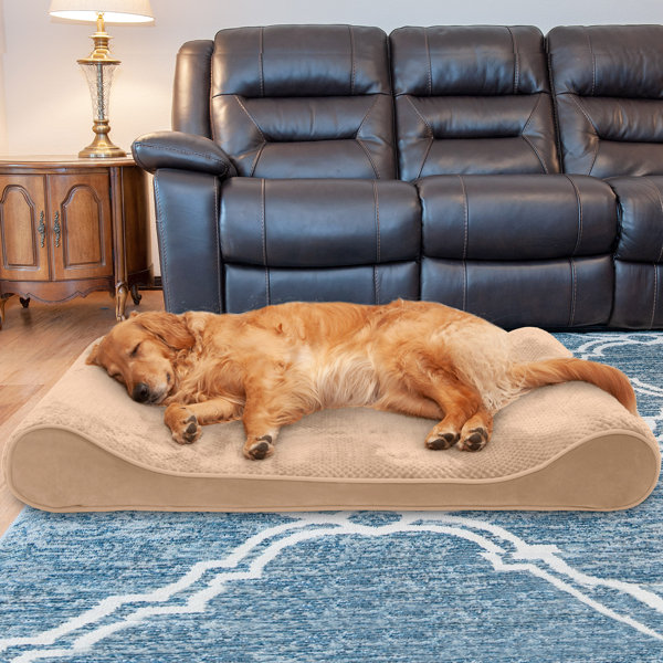 top paw oval lounger
