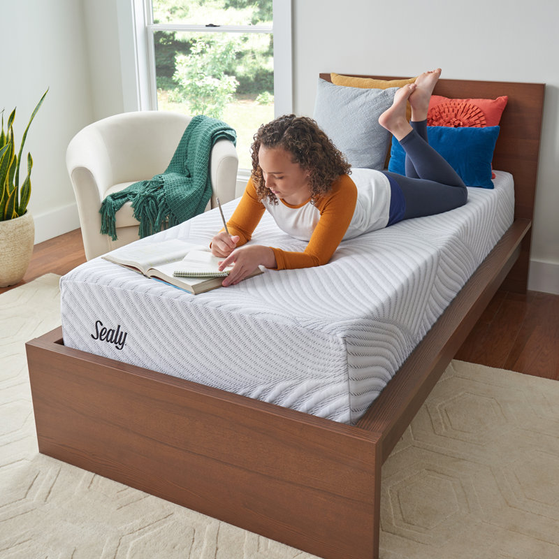 Sealy Conform Essentials 10 5 Medium Memory Foam Mattress