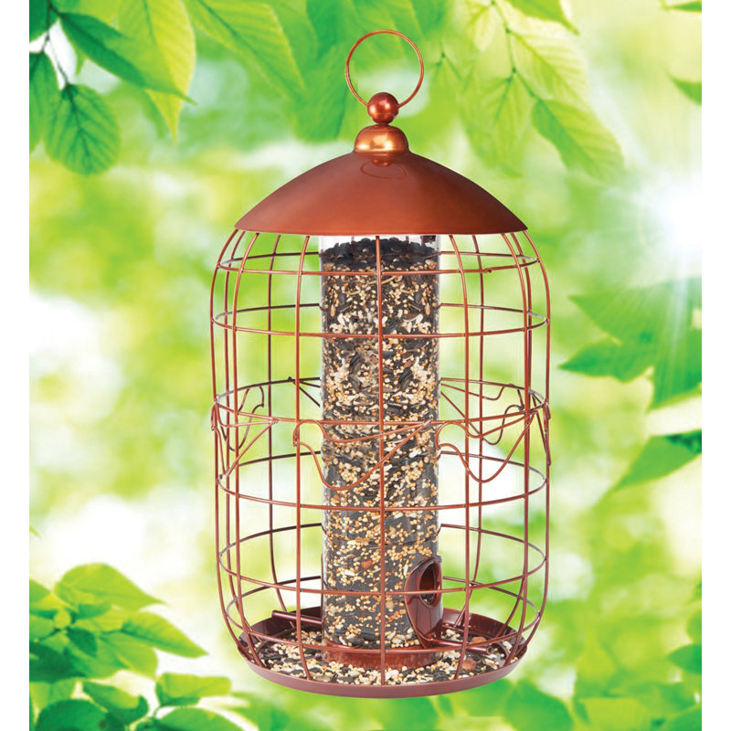 Jardin Mangeoires Kit Bouteille Mangeoire Oiseaux