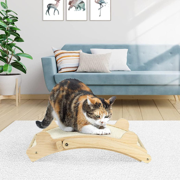 carpet protector from cats