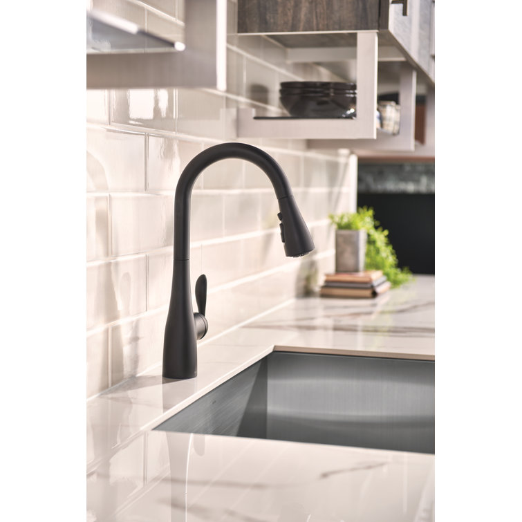 7594BL Moen Arbor Pull Down Single Handle Kitchen Faucet with ...