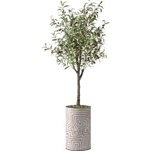 Corte Flower planter vase with braided basket pattern 