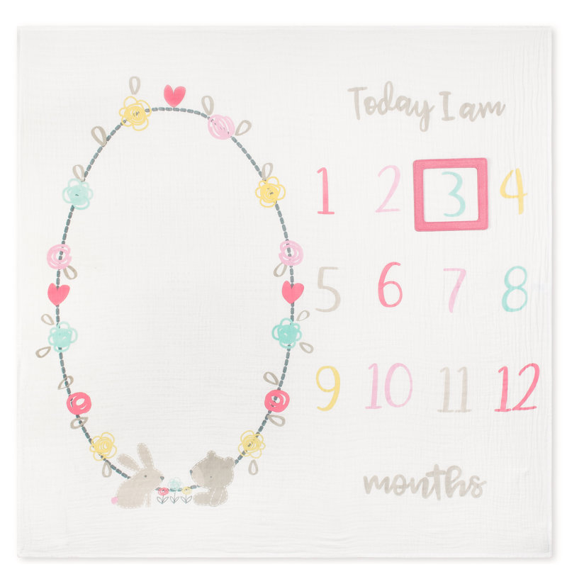 gerber 5 layer burrito baby food