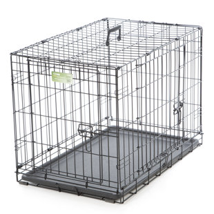 Puppy Apartment Wayfair