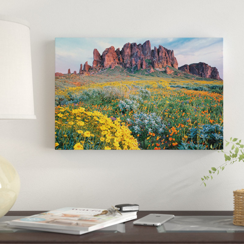 East Urban Home California Brittlebush Lost Dutchman State Park