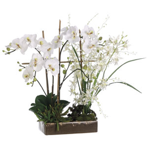 Mixed Floral Arrangement in Planter