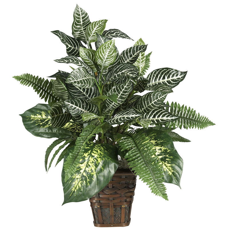 Charlton Home 26 Silk Mixed Greens Artificial Zebra Floor Plant In Decorative Vase Reviews Wayfair