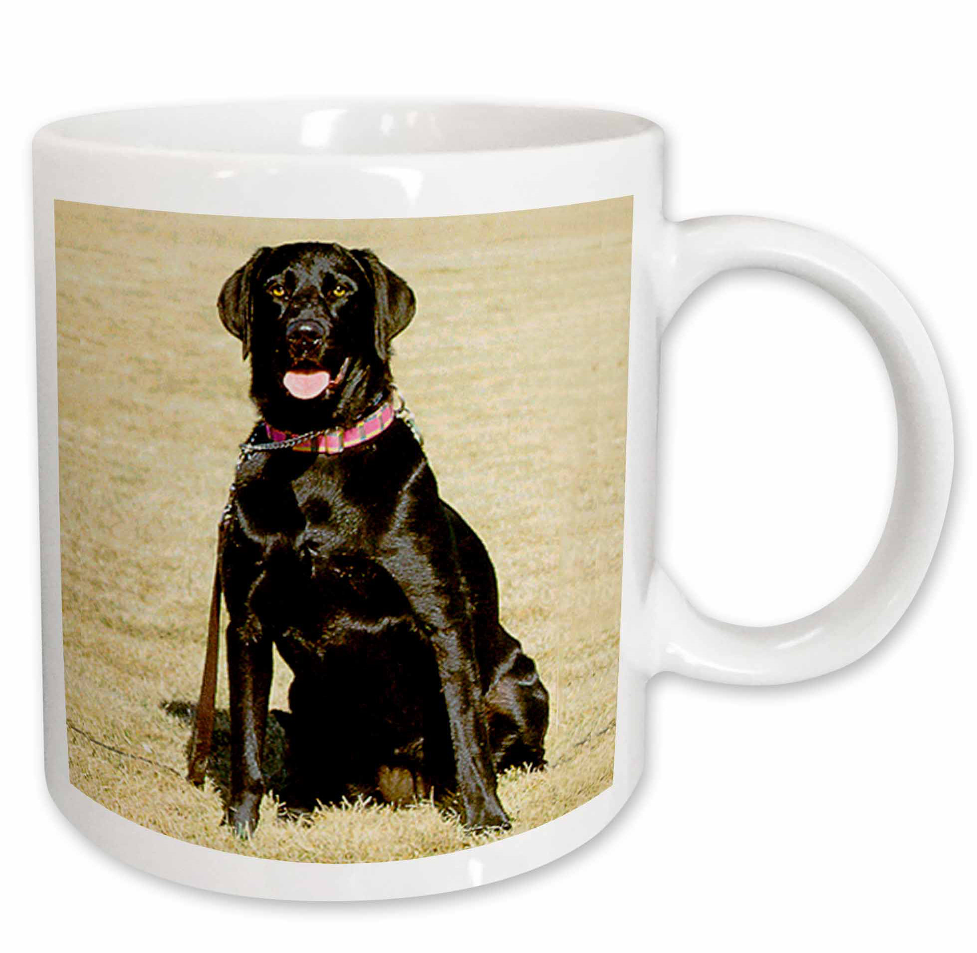labrador retriever coffee mugs