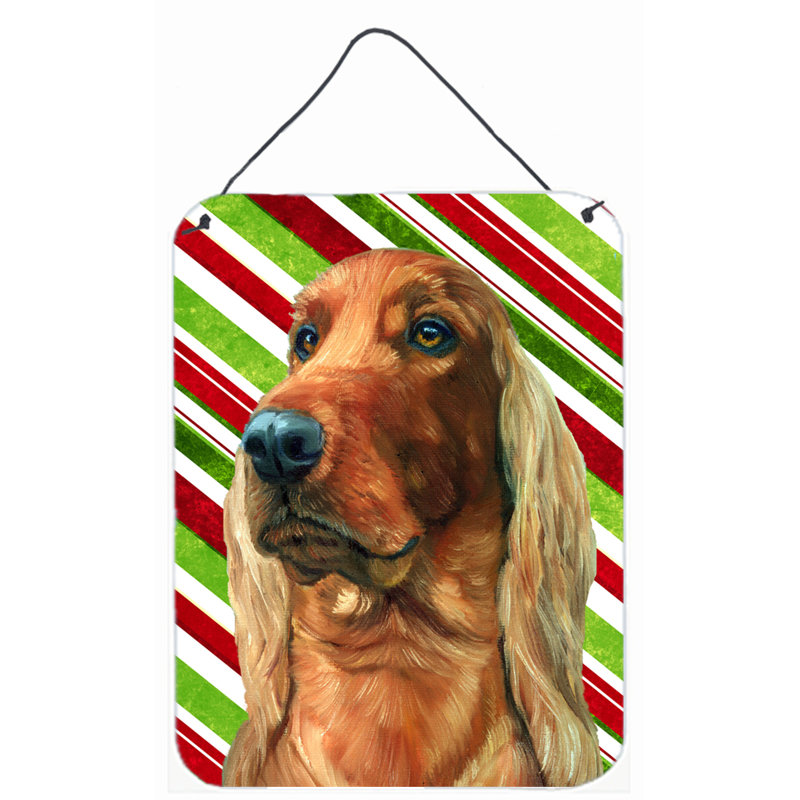 Caroline S Treasures Irish Setter Candy Cane Holiday Christmas Painting Print Wayfair Irish setters are a striking breed of dog most recognized for their deep red coat. irish setter candy cane holiday christmas painting print