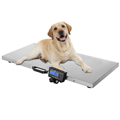 ((incomplete missing Monitor ))Physician Scale
