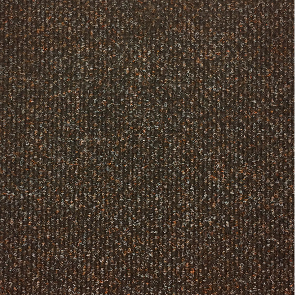 Portico Champion 20 X 20 Multi Level Loop Carpet Tile Wayfair