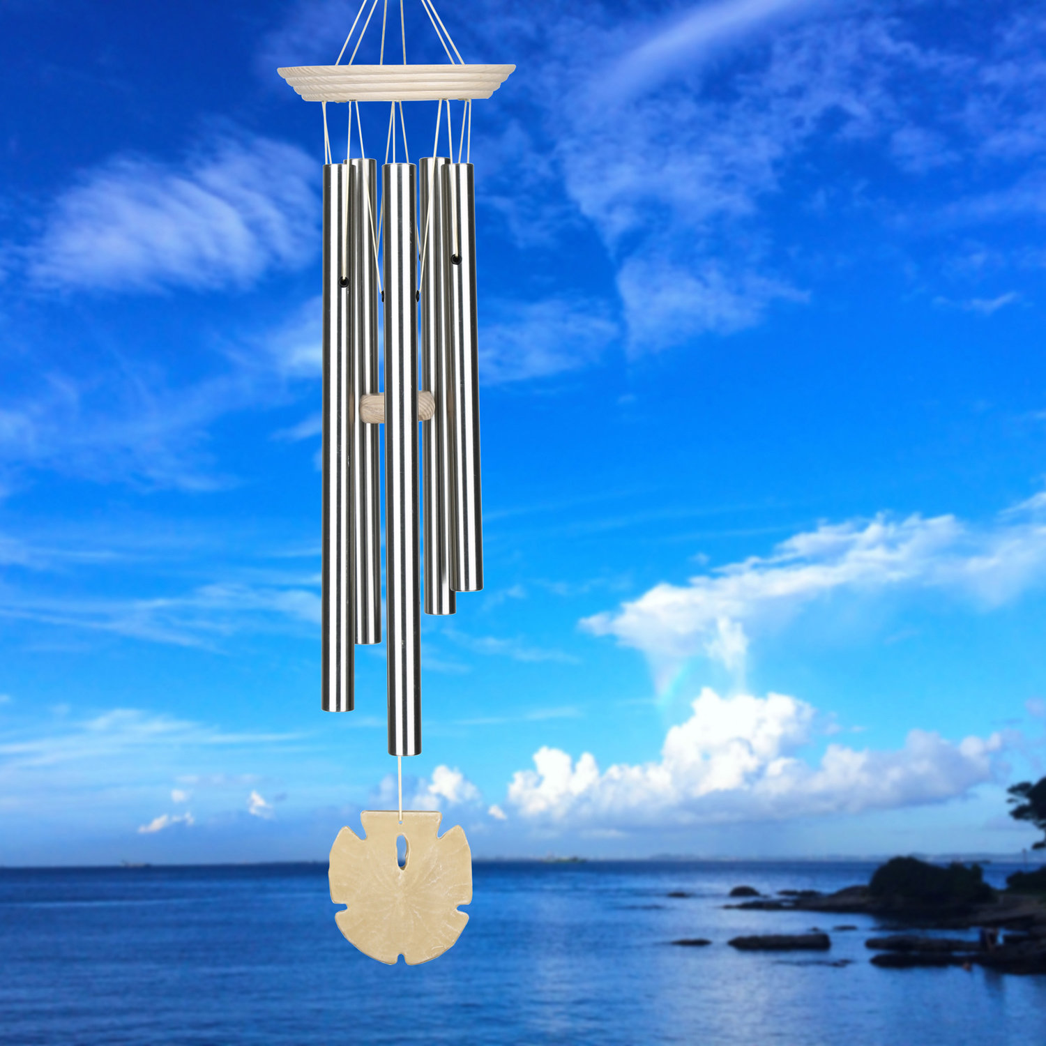 Woodstock Chimes Seashore Sand Dollar Wind Chime & Reviews Wayfair