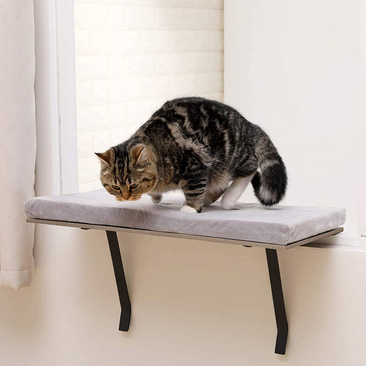 cat ledge for window