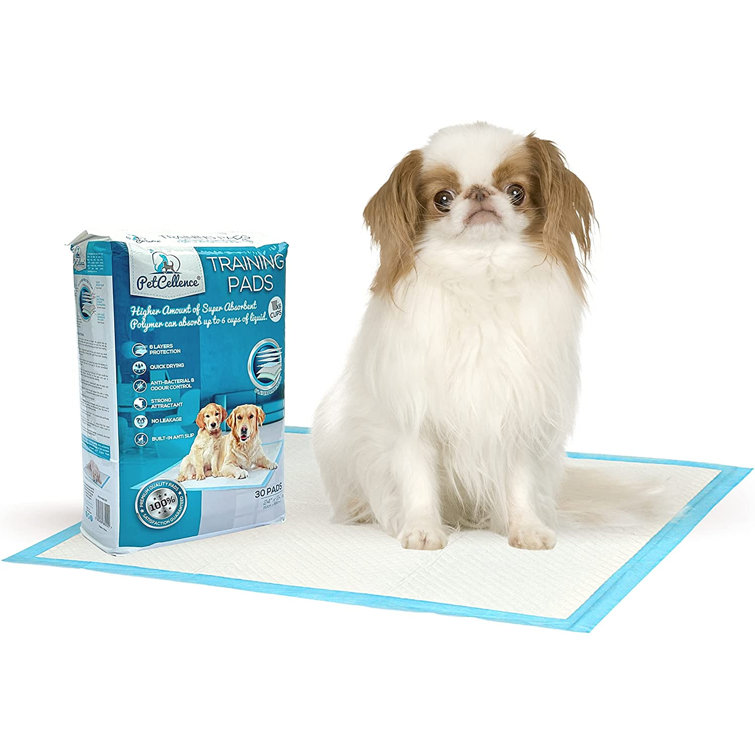 leak proof dog pads