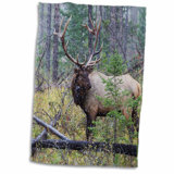 3D Rose Rocky Mountain Bull Elk Reflecting Hand Towel 15 x 22