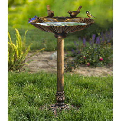 Resin Bird Baths You'll Love in 2020 | Wayfair