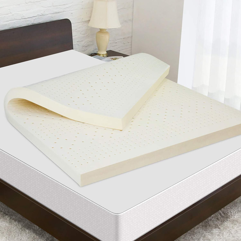 Alwyn Home Foldable Dormitory Latex Mattress Pad Wayfair
