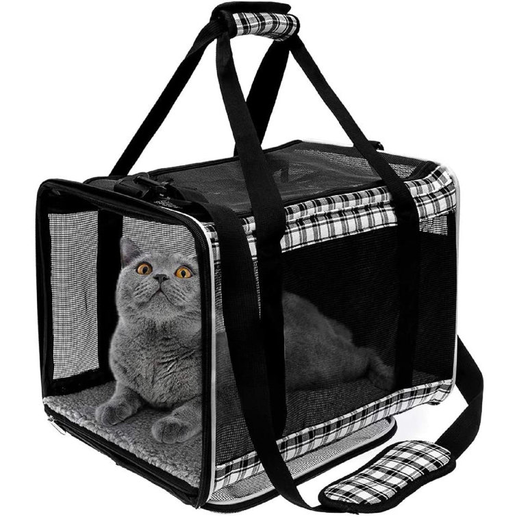 2 cat carrier
