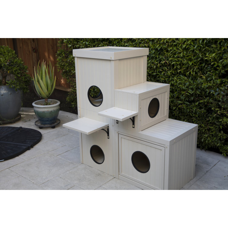 ecoflex kitty klimber