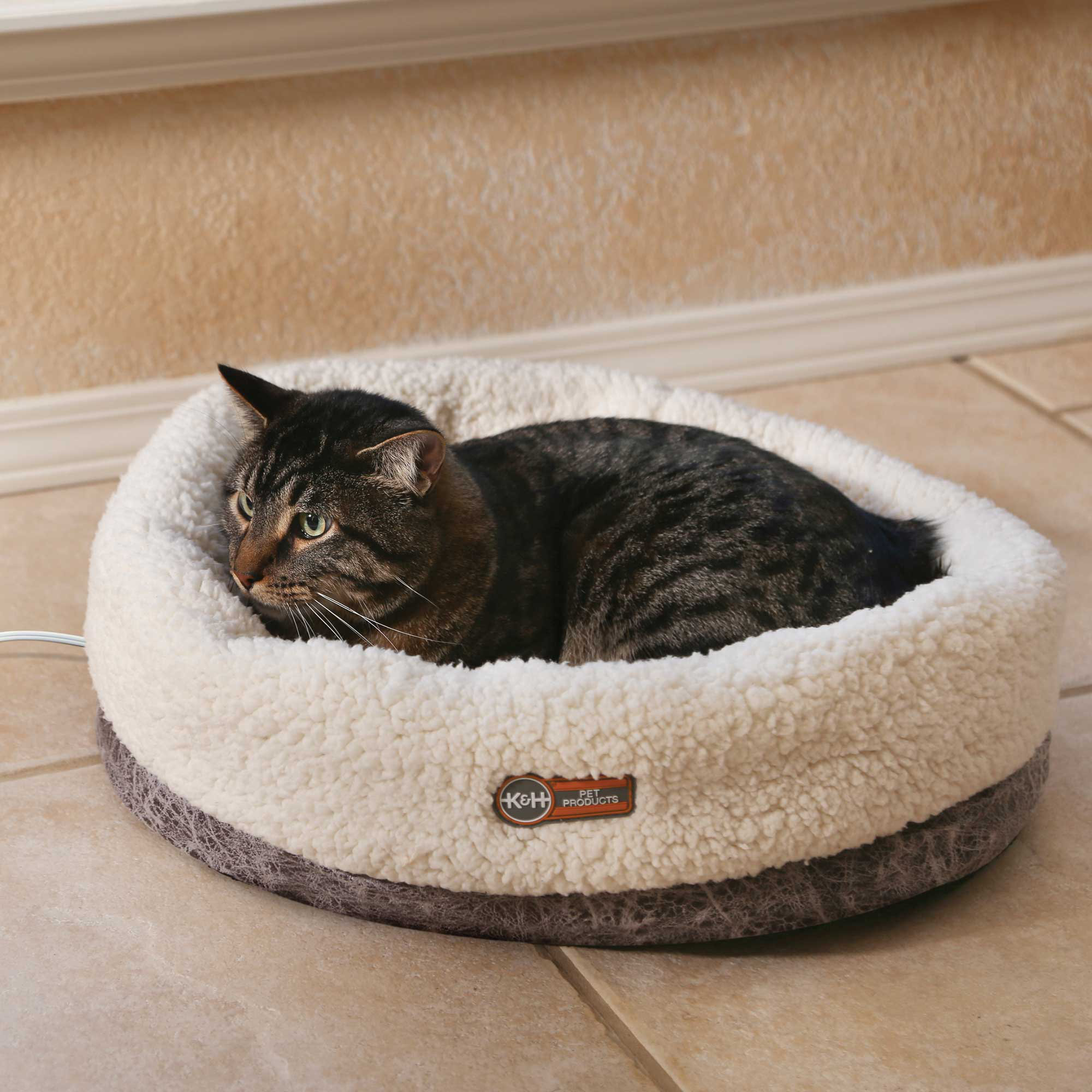 snooze paws cuddle cup