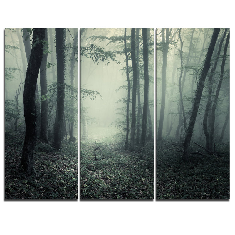 Designart Trail Through Dark Forest 3 Piece Graphic Art On Wrapped Canvas Set Wayfair