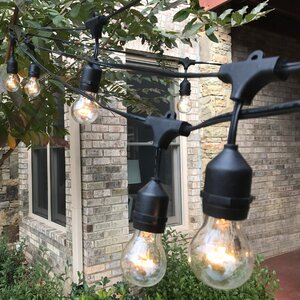 Premium Weatherproof Indoor/Outdoor 32-Light Globe String Lights