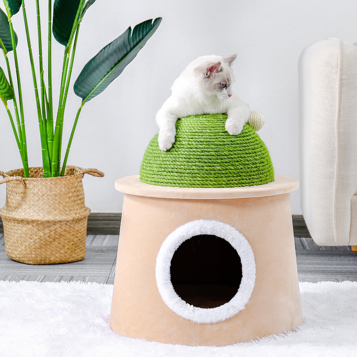 cactus cat bed