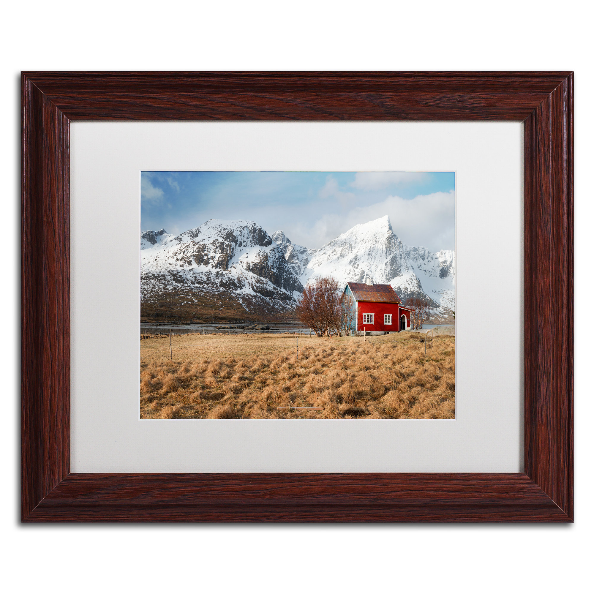 Trademark Art Believe It When You See It By Framed Photographic Print On Canvas Wayfair