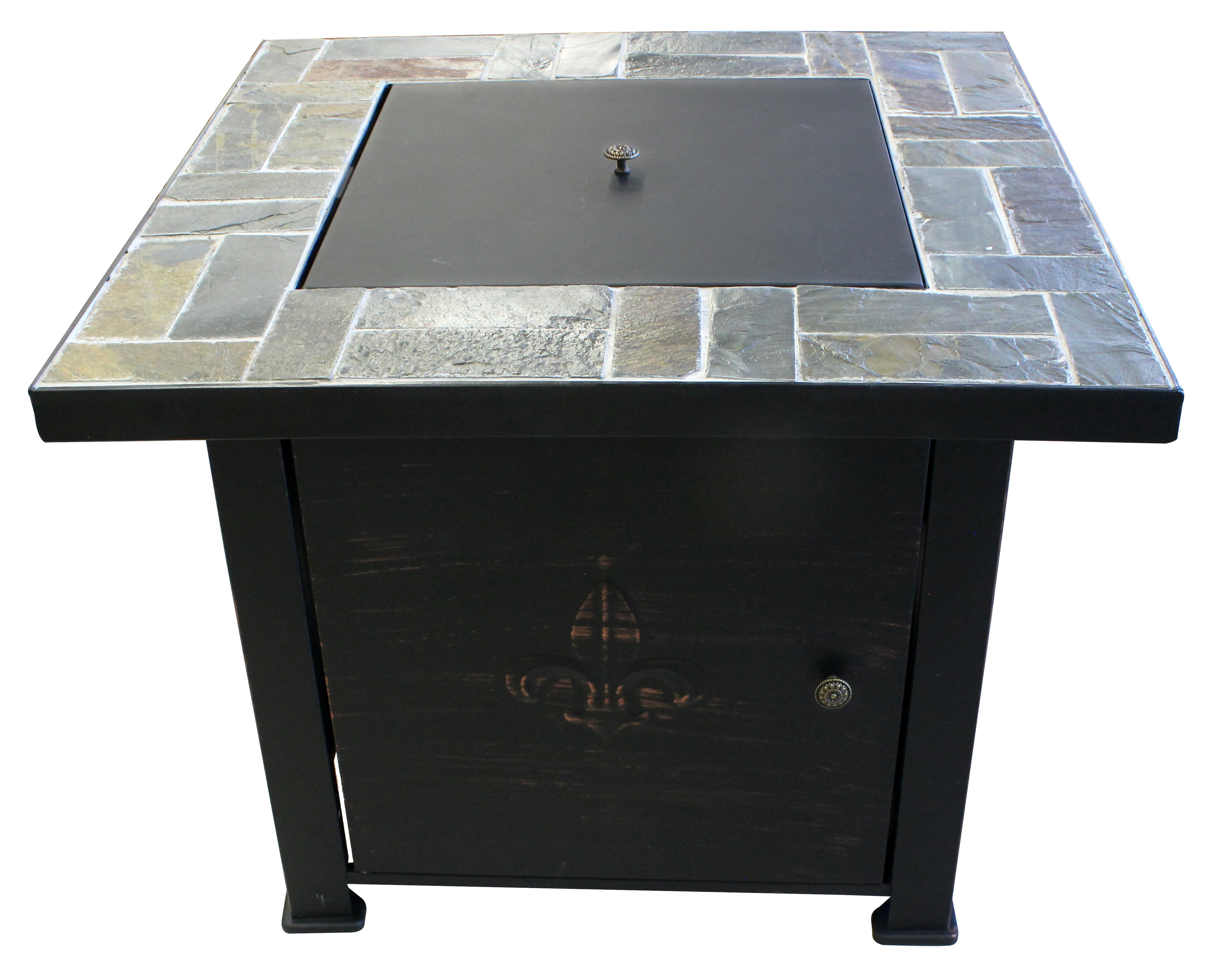 Red Barrel Studio Michelle Fleur De Lis Steel Wood Burning Gas