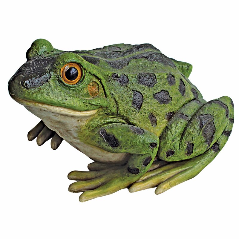 Design Toscano Rabbit the Frog Garden Toad Statue & Reviews | Wayfair