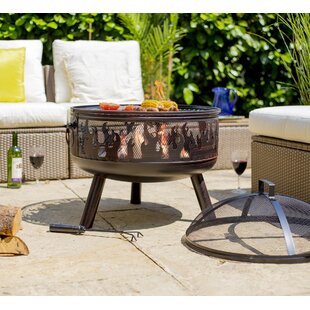 Pedro Steel Wood Burning Fire Pit By Sol 72 Outdoor