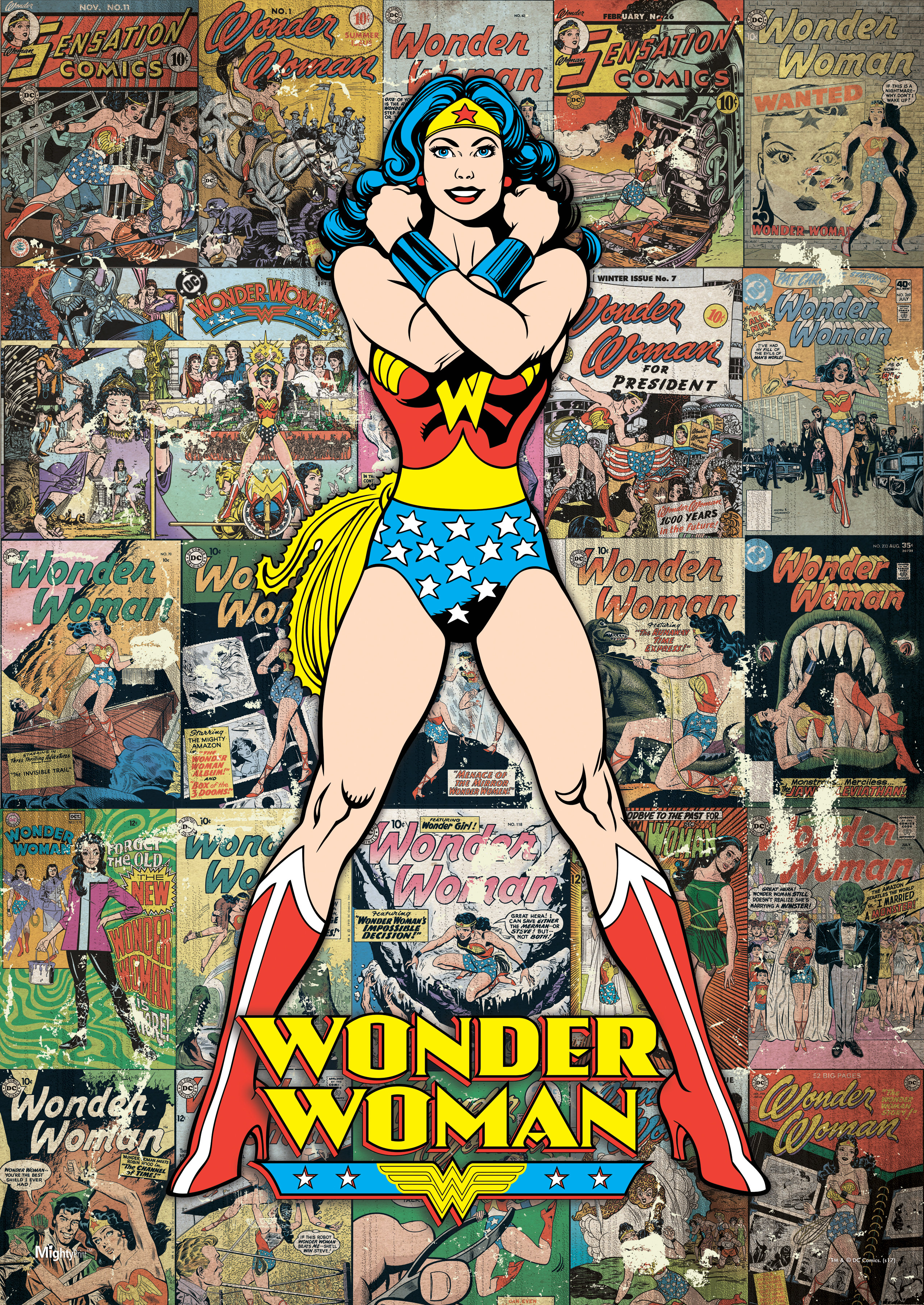Mightyprint Wonder Woman Dc Comic Classic Wall Decor Wayfair