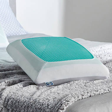 SensorPEDIC Classic Comfort Memory Foam 