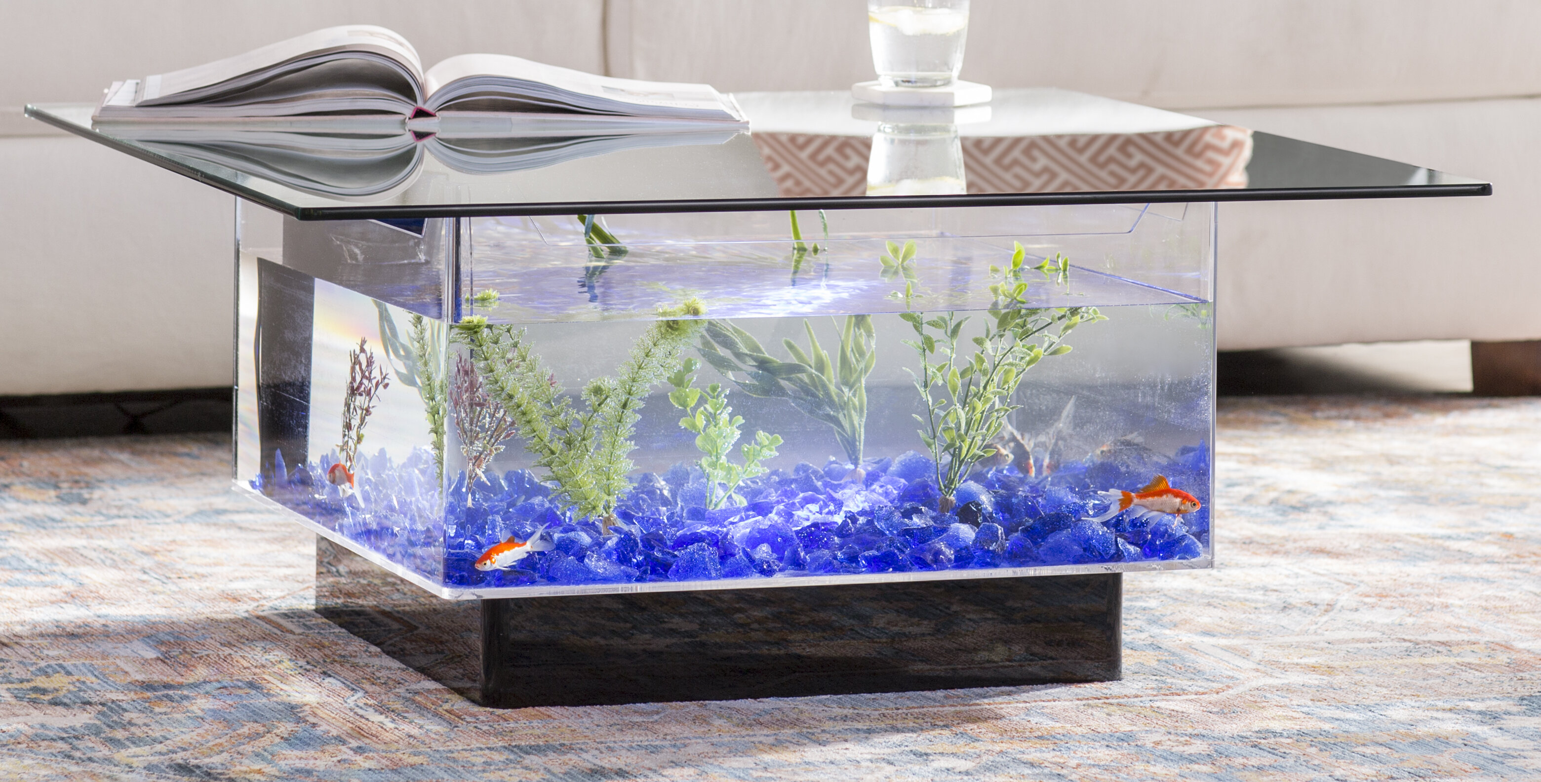 [BIG SALE] Best-Selling Freshwater Aquariums You’ll Love In 2019 | Wayfair