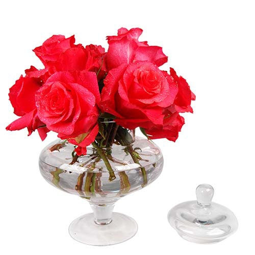 Cysexcel Glass Candy Buffet 3 Piece Apothecary Jar Set Reviews