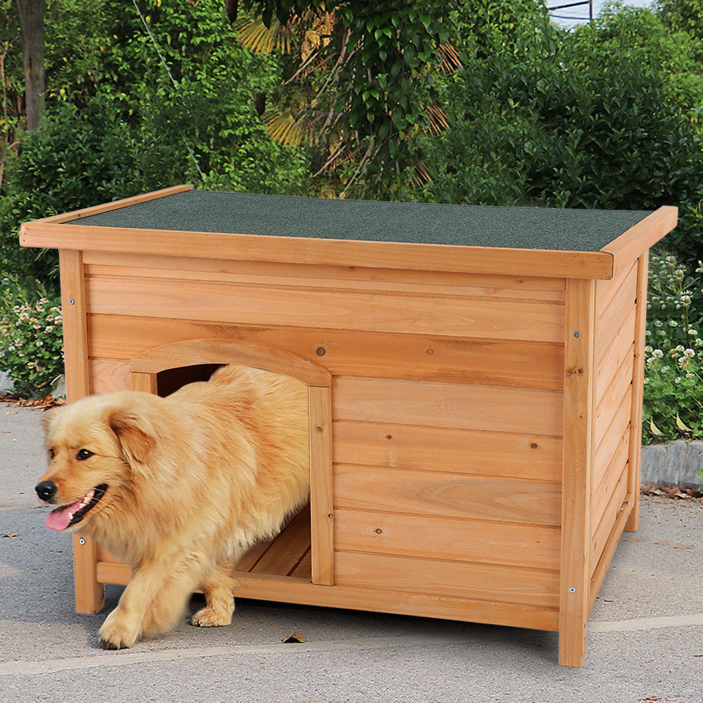 outdoor dog kennel house