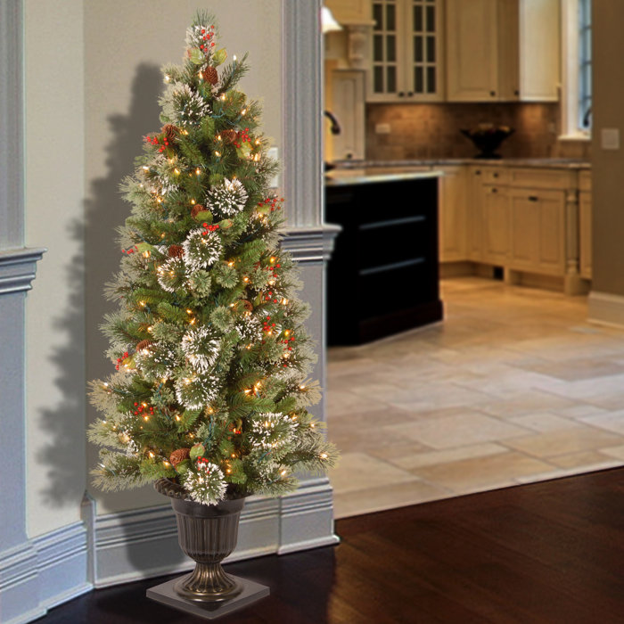 Entrance 5 Green Artificial Christmas Tree With 100 Pre Lit Clear Lights With Urn Base