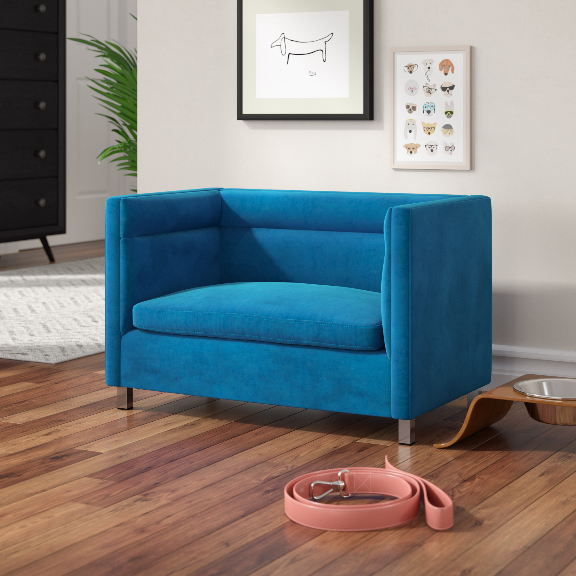 blue dog sofa