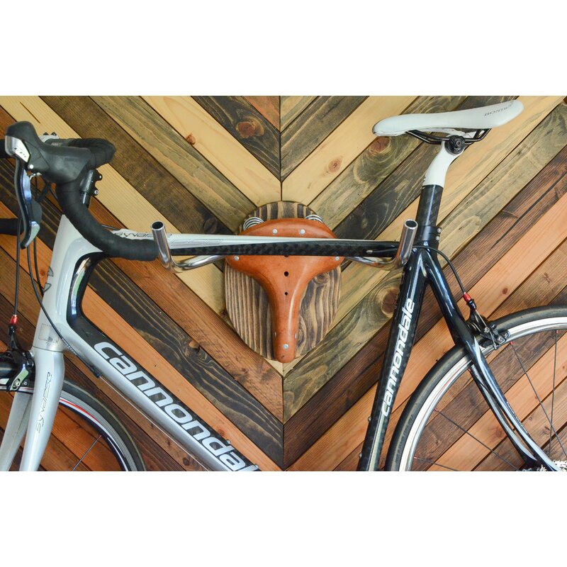 bike frame wall mount