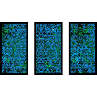 Picture Perfect International Underwater 4 Framed Plexiglass Art Set of 3 Wall-Decor 13.5 W x 25.5 H x 1 D