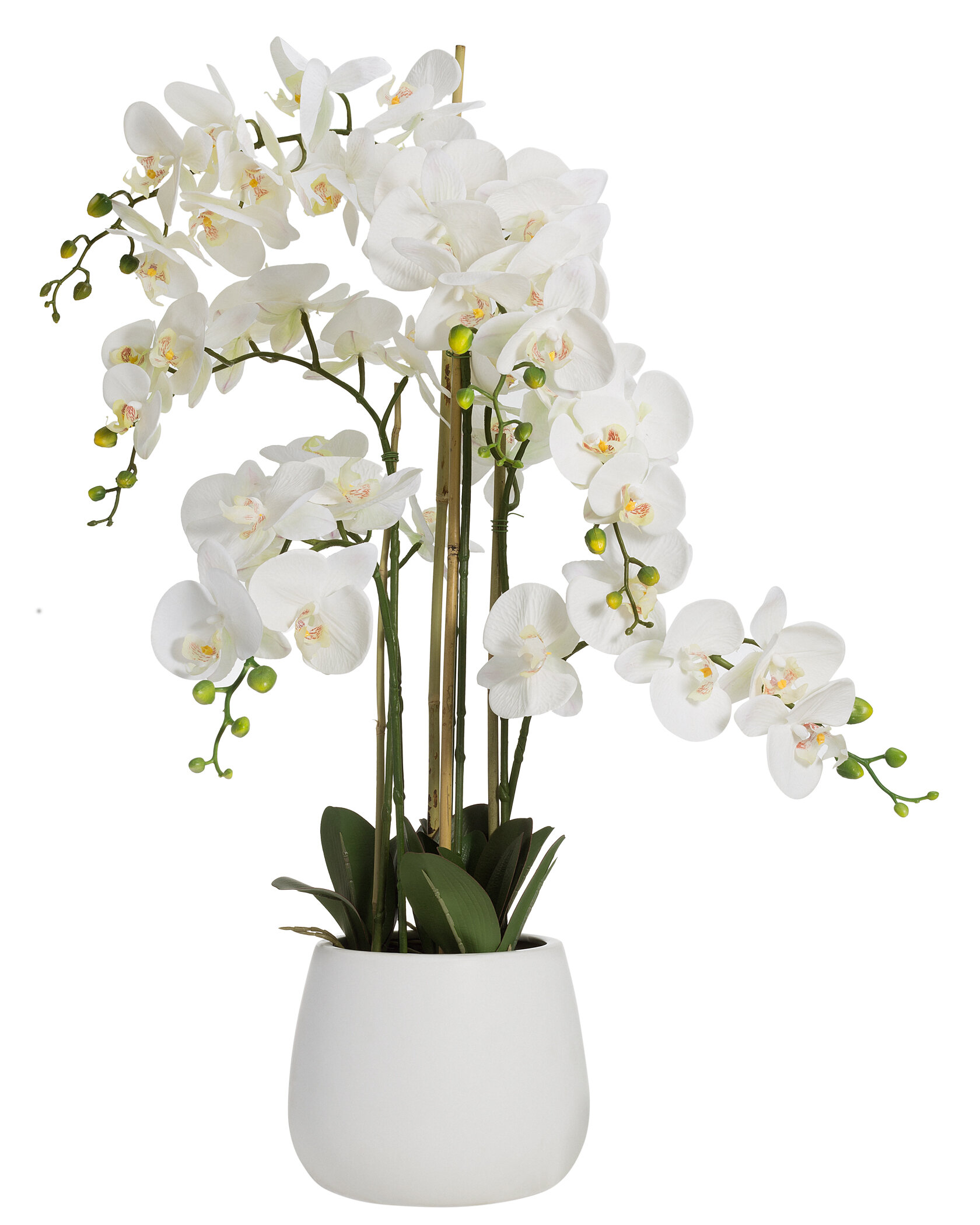 The Seasonal Aisle Artificial Orchid Floral Arrangement In Pot Reviews Wayfair Co Uk
