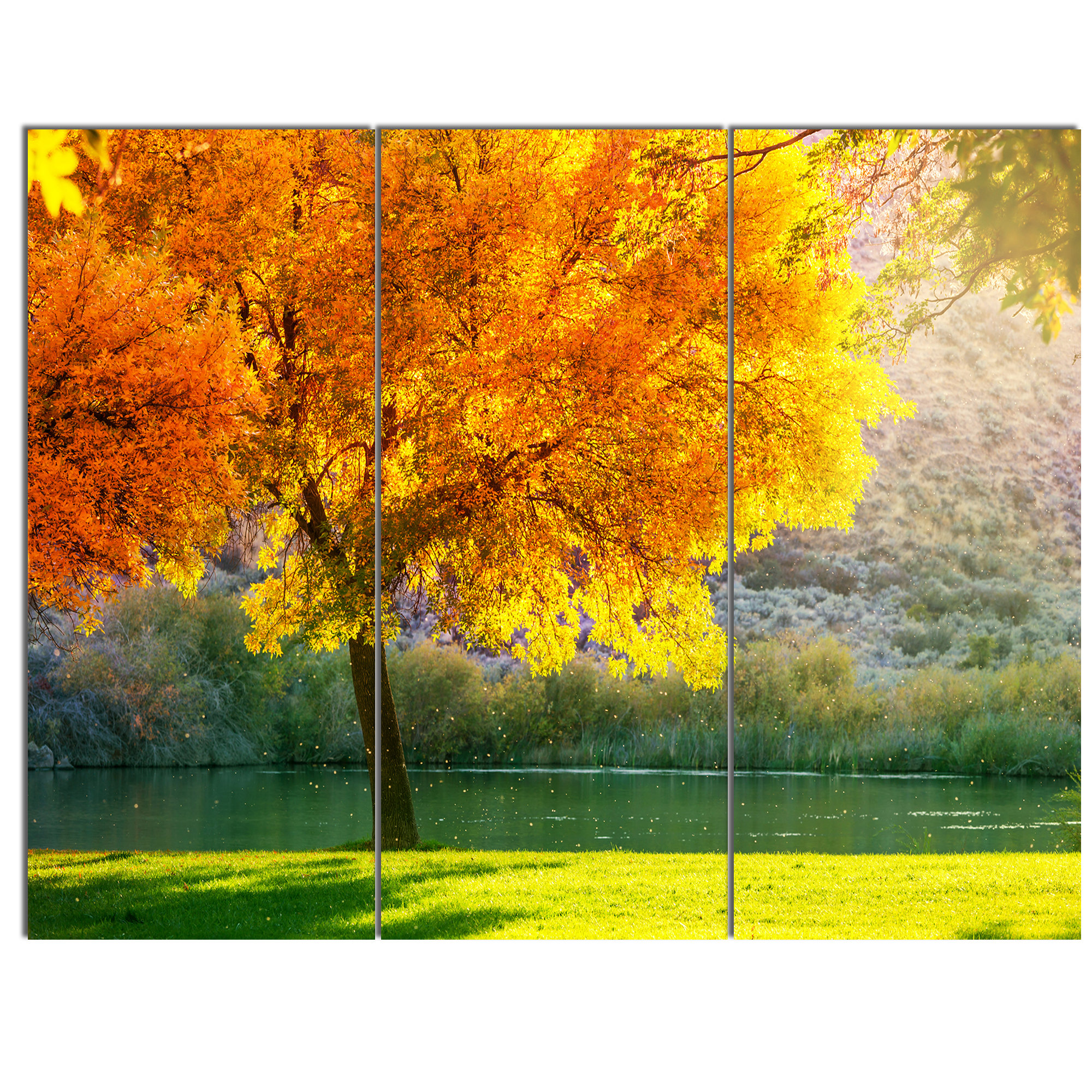 Designart Beautiful Autumn Season In Forest 3 Piece Photographic Print On Wrapped Canvas Set Wayfair